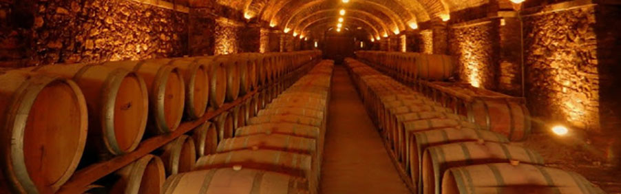 Acquista on line i vini delle migliori cantine