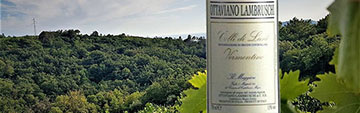 Lambruschi Vermentino 4 viti AIS
