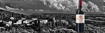 Acquista  online Mazzei Castello di Fonterutoli Chianti Classico Gran Selezione a prezzo speciale