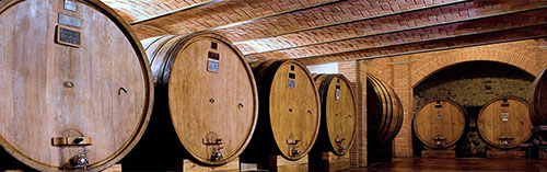 Acquista on line i vini di cavallotto