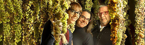 Acquista on line i vini di Maculan