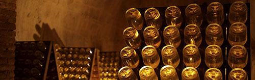 Acquista on line i vini di Ruinart