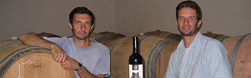 Acquista on line i vini di Micheletti