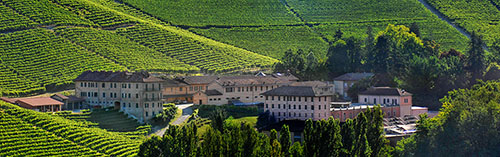 Acquista on line i vini di Mirafiore