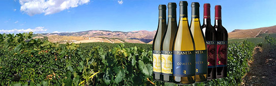 Acquista on line i vini di Planeta