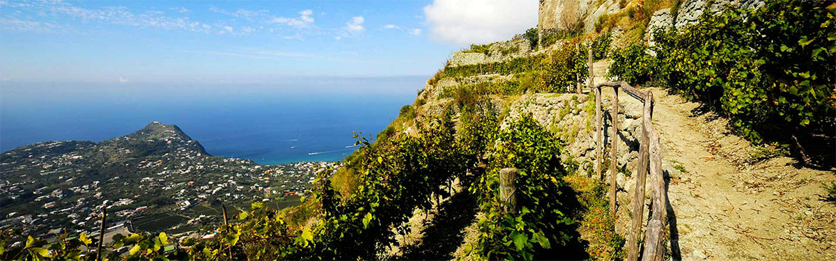 Campania