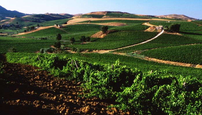 Duca di Salaparuta