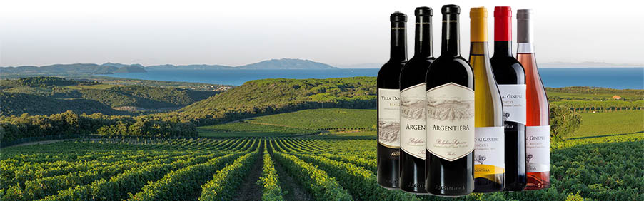 Tenuta Argentiera: l'inconfondibile eleganza di Bolgheri