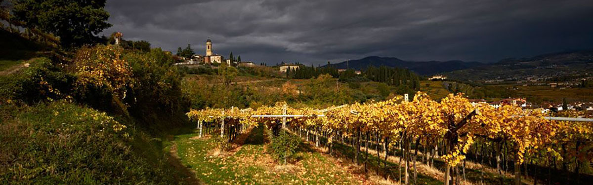 Amarone