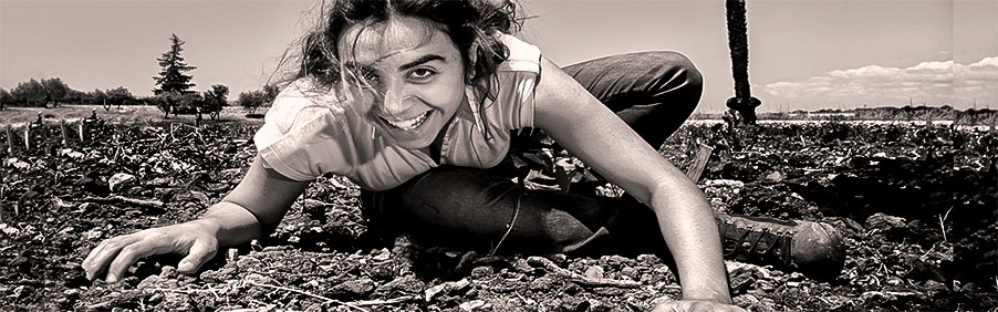 Azienda Agricola Arianna Occhipinti: vini naturali