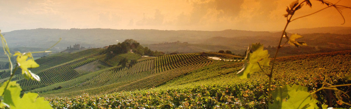 Barolo