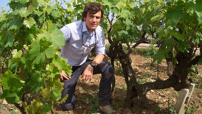 Bertani