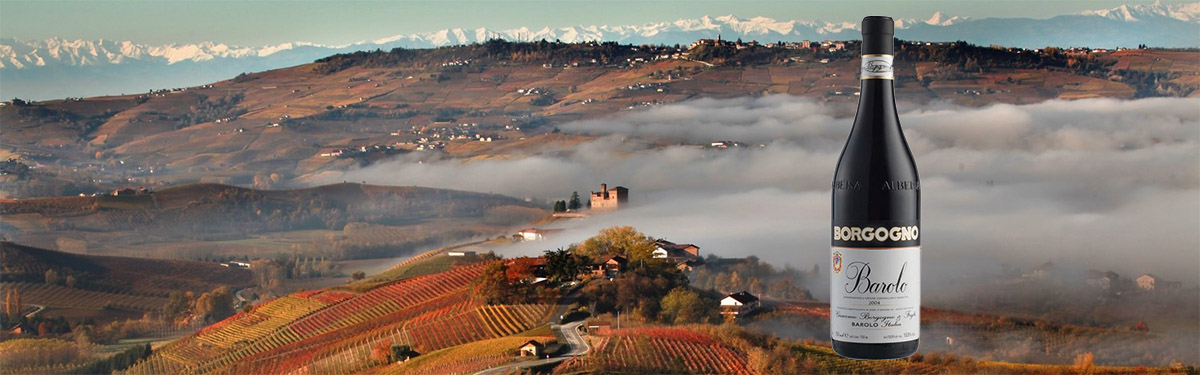 Borgogno