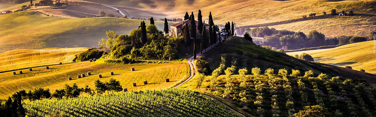 Brunello