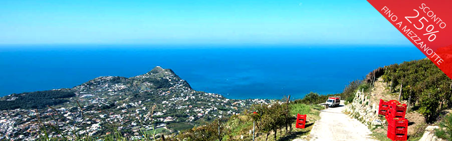 Casa d’Ambra: vini mozzafiato