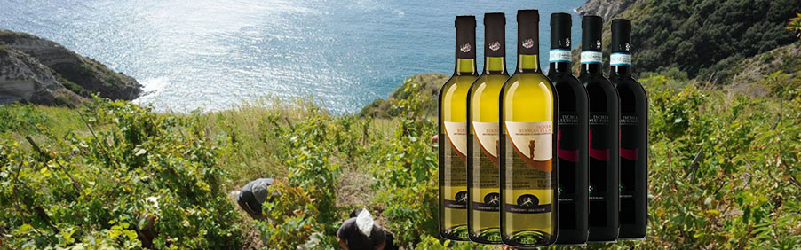 Cenatiempo: Ischia tra cielo e mare