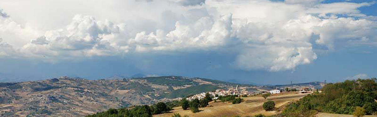 Di Majo Norante: nati in Molise