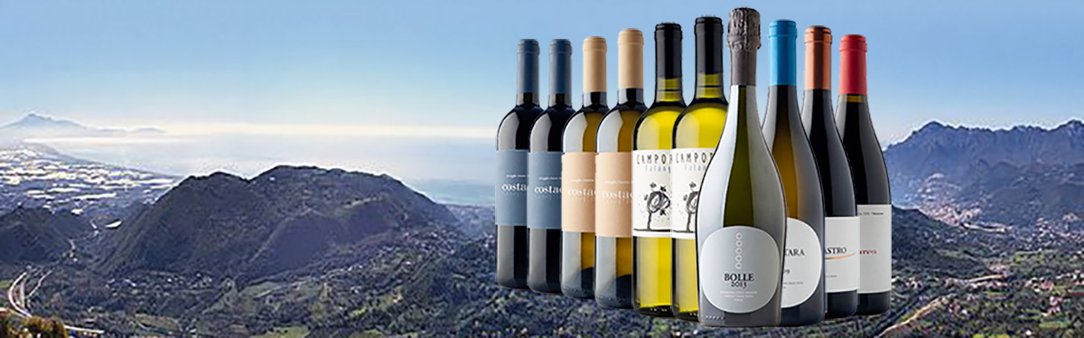 Cantina Lunarossa: vini e passione