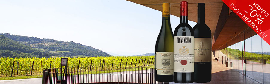 Cantina Marchesi Antinori: vini di talento