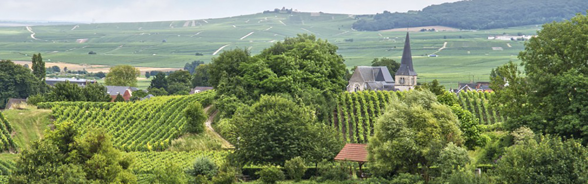 Montagna di Reims