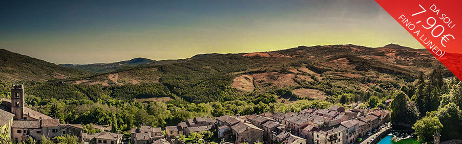 Montecucco Doc: tra Montalcino e la Maremma