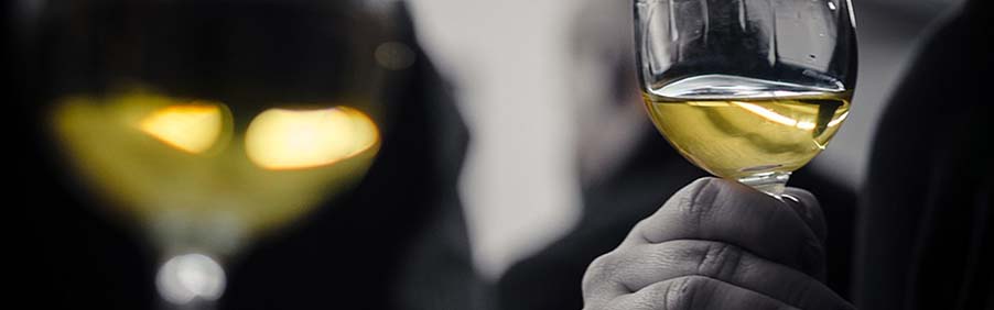 Orange wines/Anfora