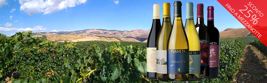 Planeta: grandi vini di Sicilia