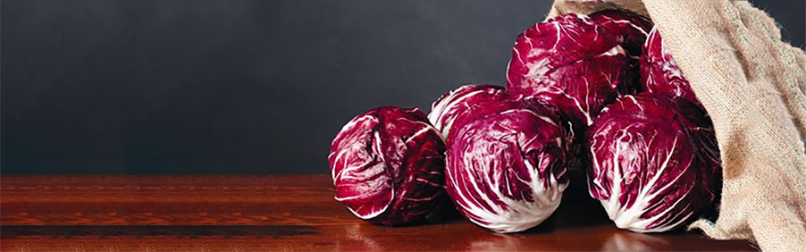 I vini perfetti con il radicchio