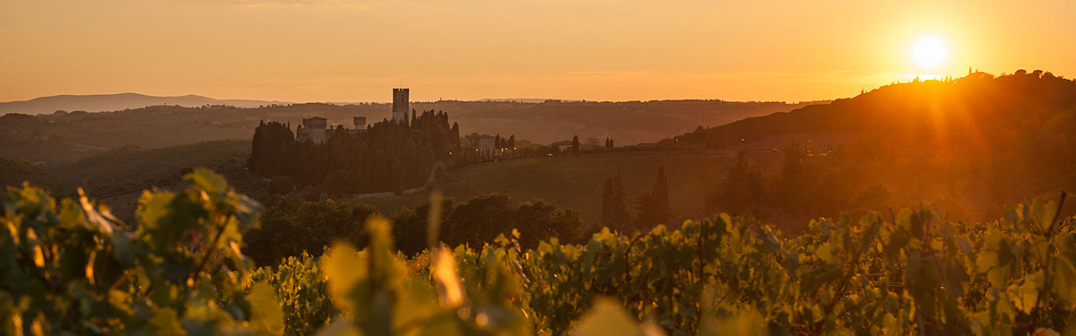 Supertuscan