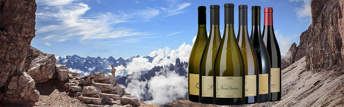 Cantina Terlano: vini bianchi d'eccellenza