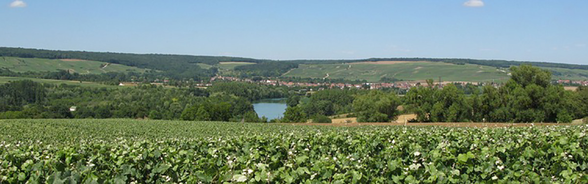 Valle della Marne
