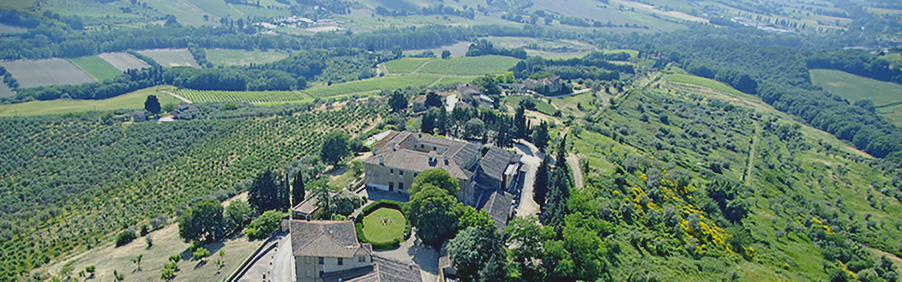 Villa Montepaldi: i vini di Lorenzo il Magnifico