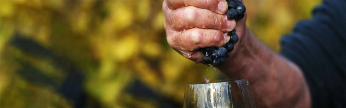 Vini naturali