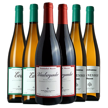 Brunnenhof Alto Adige Bio