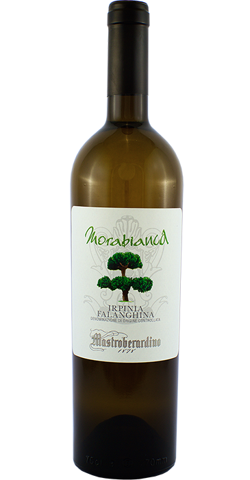 Mastroberardino Morabianca Falanghina 2019 Irpinia DOC