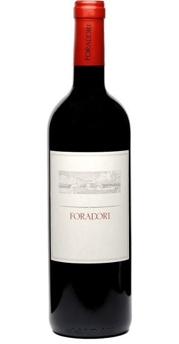Foradori Teroldego 2016 Vigneti delle Dolomiti IGT