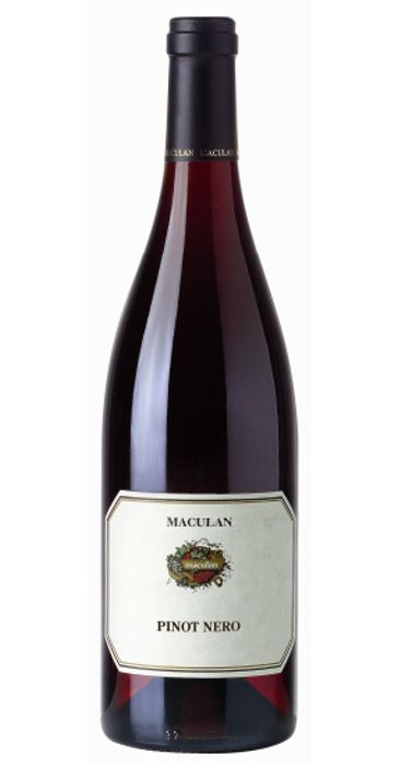 Maculan Pinot Nero 2018 Breganze DOC