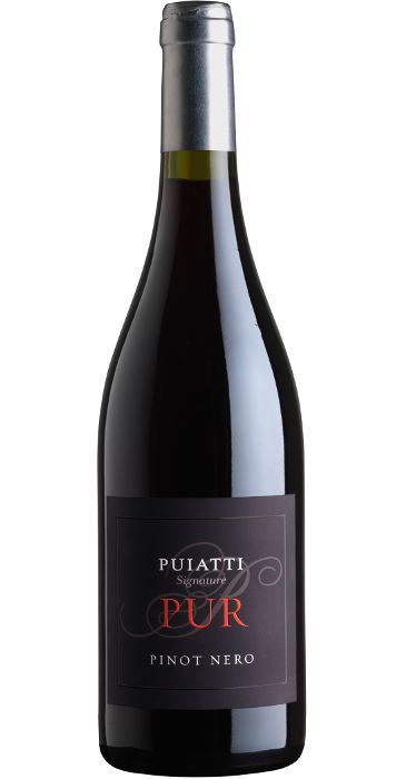 Puiatti Pur Pinot Nero 2013 Venezia Giulia IGT