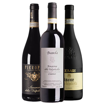 Collezione Amarone