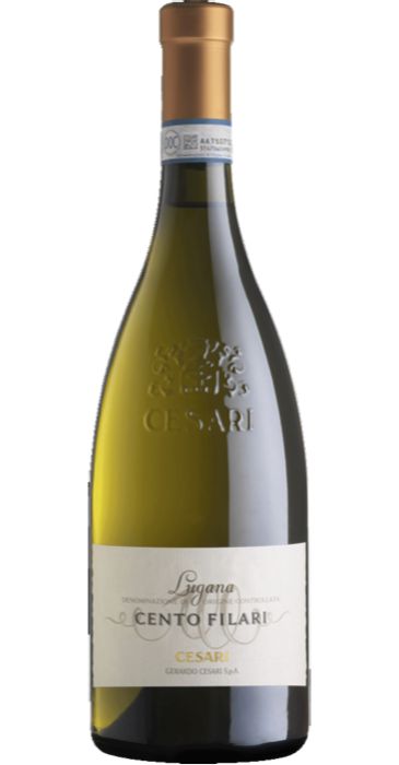 Cesari Cento Filari 2019 Lugana DOC