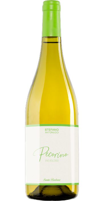 Santa Barbara Pecorino bio 2018 Marche IGT