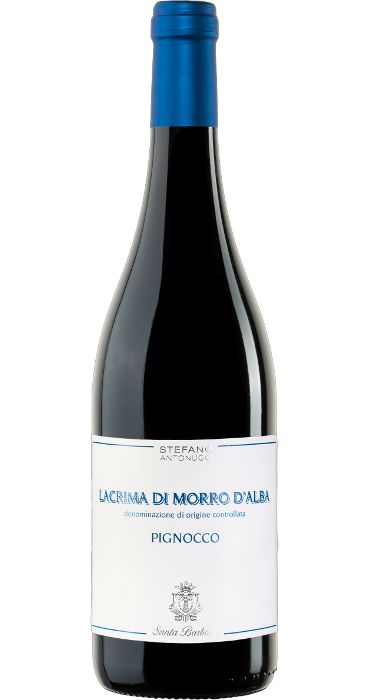 Santa Barbara Pignocco 2018 Lacrima di Morro d'Alba DOC