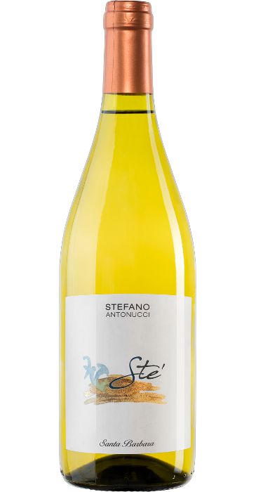 Santa Barbara Sté 2018 Verdicchio dei Castelli di Jesi Classico DOC