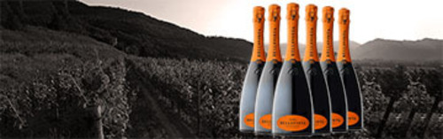 Acquista on line i vini di Bellavista