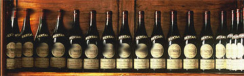 Acquista on line i vini di Bertani