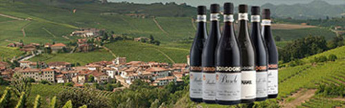 Acquista on line i vini di Borgogno