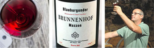Acquista  online i vini rossi rossi altoatesini e il Pinot Nero di Brunnenhof a prezzo speciale