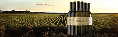 Acquista on line i vini di Casale del Giglio