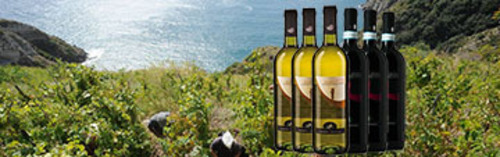 Acquista on line i vini di Cenatiempo
