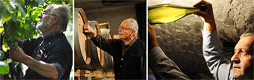 Acquista on line i vini di Cieck
